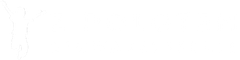 Stowarzyszenie z Polotem Logo Stopka